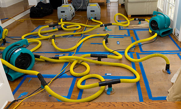 Professional Crawl Space Water Removal technician working in Hillsdale, NJ